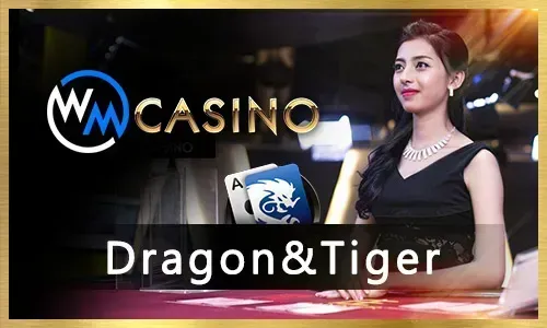 Live Baccarat Table with Dealer